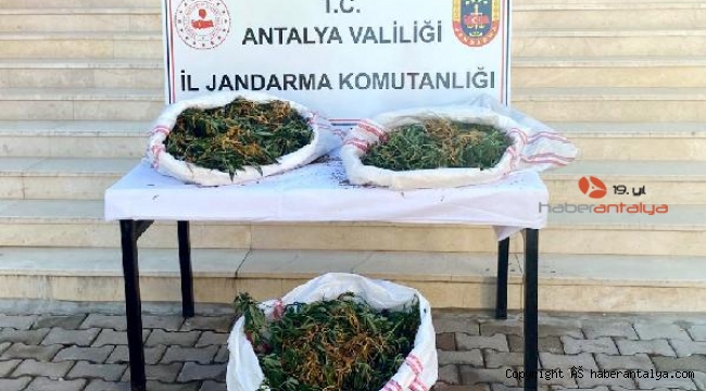 Uyuşturucu maddeyi sazlığa saklarken yakalandı