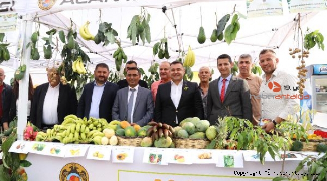 Alanya Tropikal Meyve Festivali düzenlendi