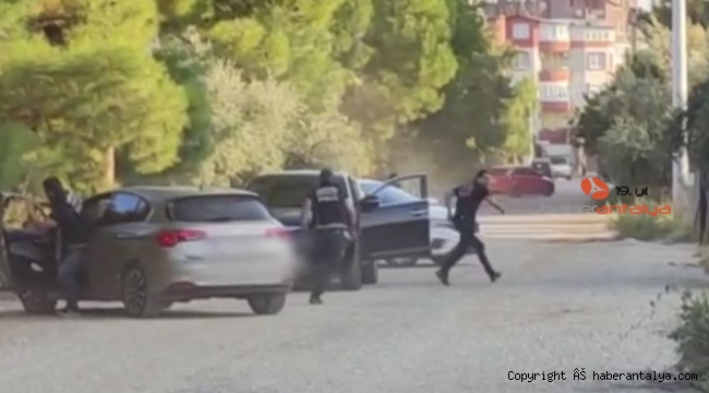 Antalya'da uyuşturucu tacirlerinin ormanlık alan planı