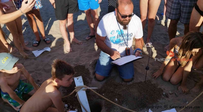 Belek'te yaklaşık bin 600 deniz kaplumbağası yuvasından çıkan 60 binin üzerinde yavru denizle buluştu