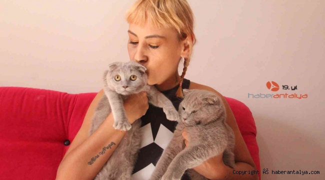 Dekolteli kedi hırsızlarına verilen ceza, ev sahibini şok etti