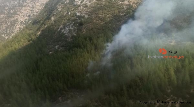 Kaş'taki orman yangınında korkulan olmadı 