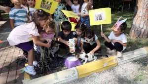 Manavgat Belediyesi'nin kreş öğrencileri sokak hayvanlarını besledi