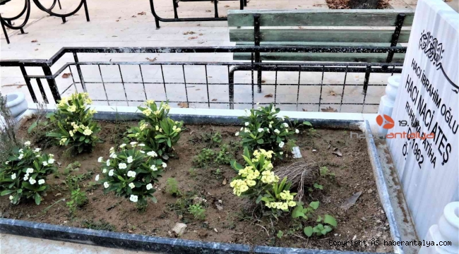 Ölmeden önce cami avlusuna mezarını yaptırdı