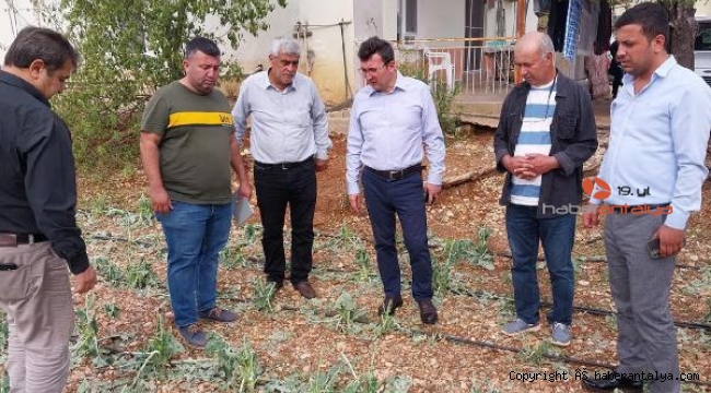 Serik'te dolunun faturası ağır oldu