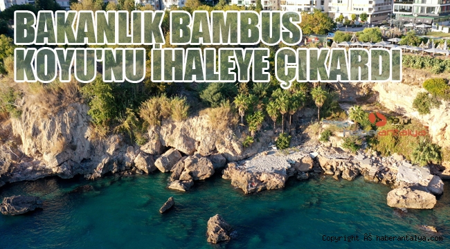Bakanlık Bambus Koyu'nu ihaleye çıkardı