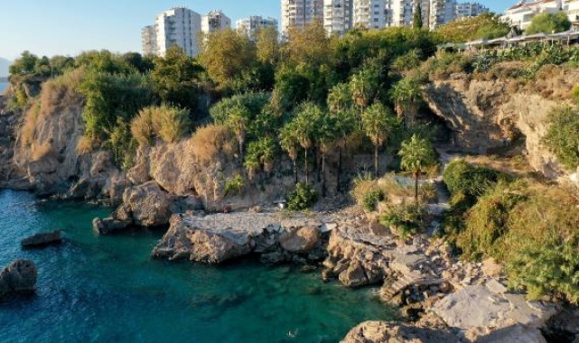 Başkan Uysal: Bambus'un Antalya'dan koparılmasına izin vermeyeceğiz