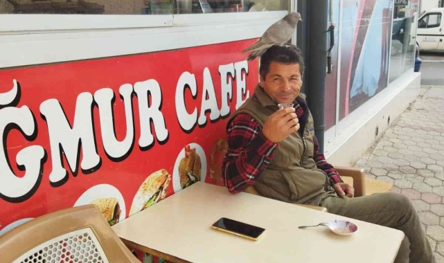 Çay içerken başına kumru kondu 