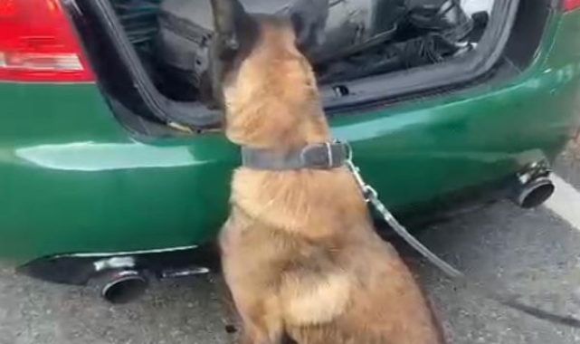 Dedektör köpek Milon, zulada 1 kilo uyuşturucu buldu