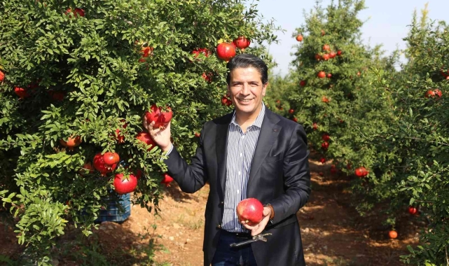 Döşemealtı'nda Nar Çalıştayı düzenlenecek