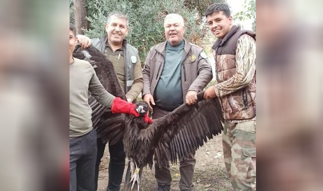 Kara Akbaba GPS sayesinde Antalya'da yakalandı
