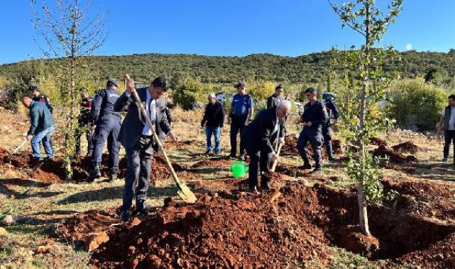 Kaş'ta 3 bin 600 fidan toprakla buluştu