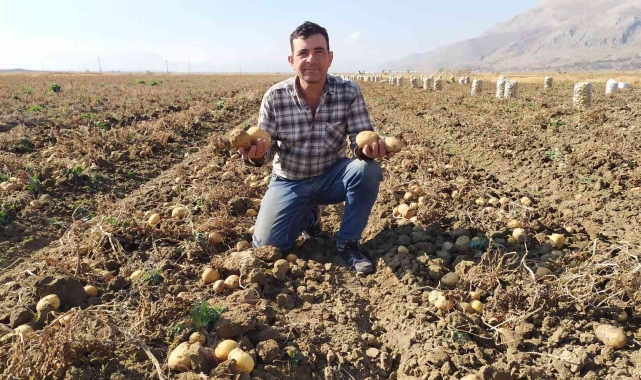 Yaylada patates hasadı sona erdi
