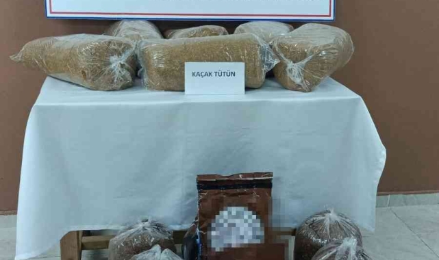 Yolcu otobüsünde taşınan 60 kilo kaçak tütün 'Zarif'e takıldı