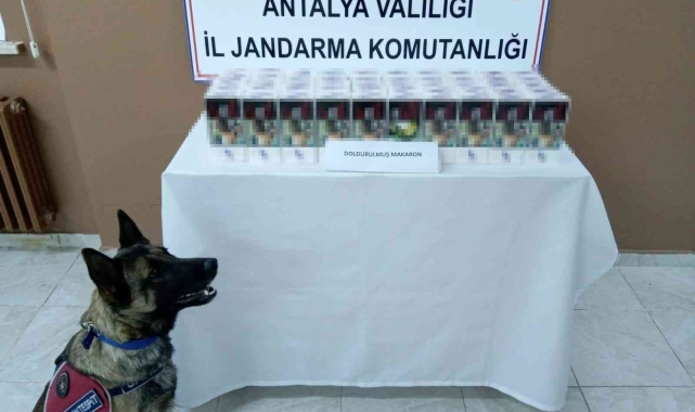 Yolcu otobüsünün bagajından 10 bin adet doldurulmuş makaron yakalandı
