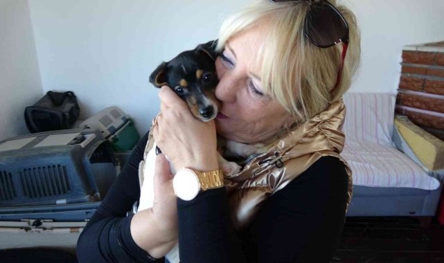 Alkollü şahıs tarafından ısırılıp yumruklanan yavru köpek Almanya yolcusu