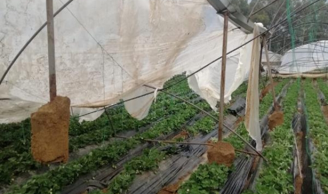 Antalya'da bir de hortum faciası !
