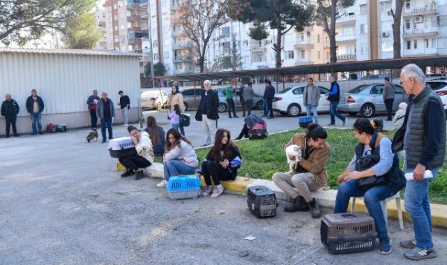 Evcil hayvan sahiplerinin 'çip' sırası