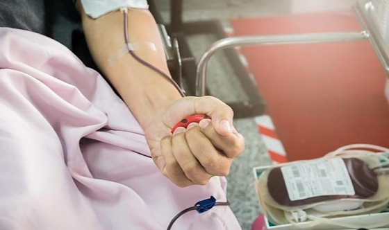 Organ ve kök hücre nakli, Antalya'nın kan ihtiyacını artırıyor