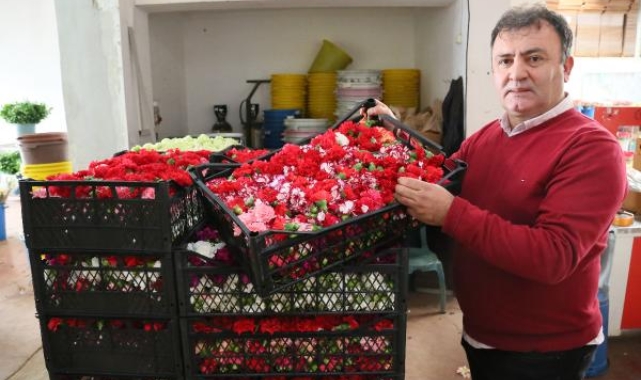 Sirtakide tabak kırma yasaklandı, Türk çiçekcisine gün doğdu
