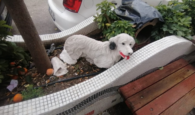 25 liralık köpek maketlerini çaldılar