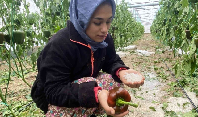 Aksu'da fırtına ve dolu sebebiyle 95 dekar sera alanı zarar gördü