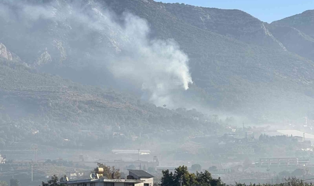Alanya'da orman yangınında yaklaşık 10 dönüm zarar gördü