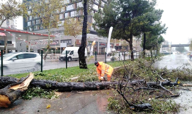 Büyükşehirin fırtına mesaisi