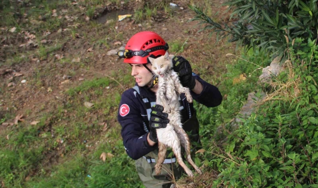 Derede mahsur kalan kedi, itfaiyeye zor anlar yaşattı