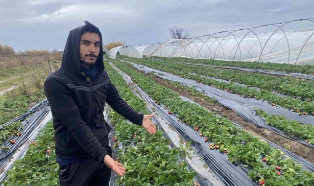 Fırtına sonrası geldiği serasını yerinde bulamadı !