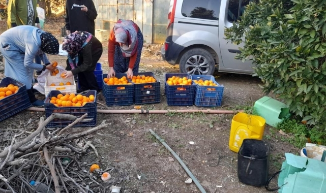 Gazipaşa'dan İdlib'e insani yardım malzemesi gönderildi