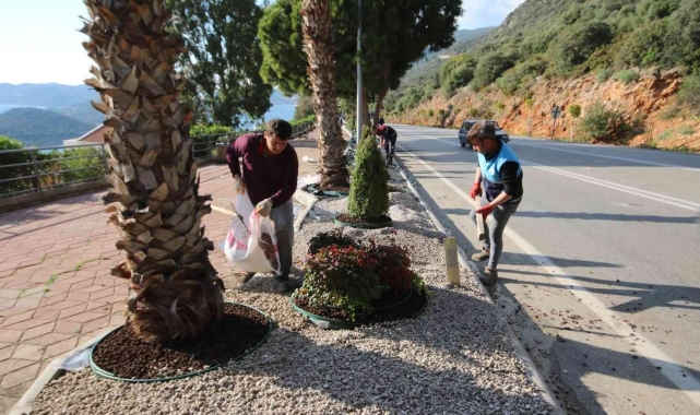 Kaş'ta peyzaj çalışmalarında 4 bin 625 bitki dikildi