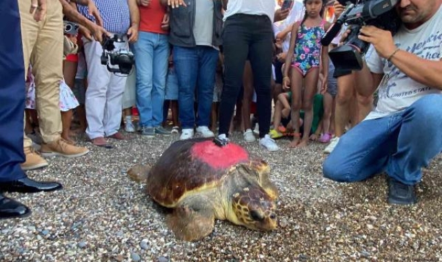 Kıbrıs Barış Harekatı'nın yıl dönümünde denize bırakıldı, 2 bin 500 kilometre yol katetti