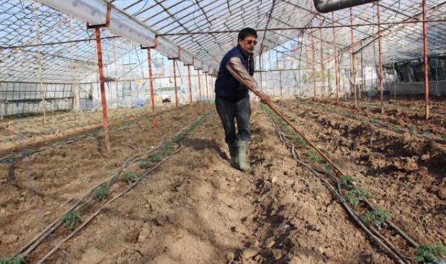 Sel mağduru çiftçiler ayağa kalkmaya çalışıyor