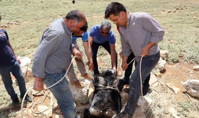 Antalya'nın kültürel mirasına 4 yeni üye 