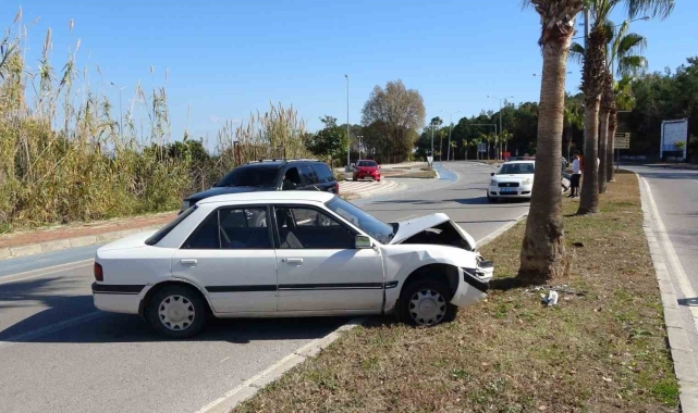 Alkolden ehliyeti iptal edilen sürücü otomobille palmiyeye girdi !