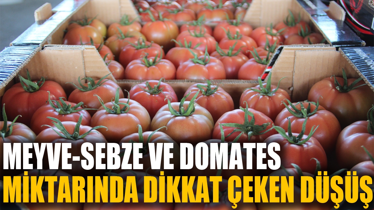 Meyve-sebze ve domates miktarında dikkat çeken düşüş
