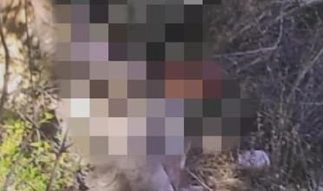 Satır ve bıçak üzerindeki kan lekesiyle yakayı ele verdiler !
