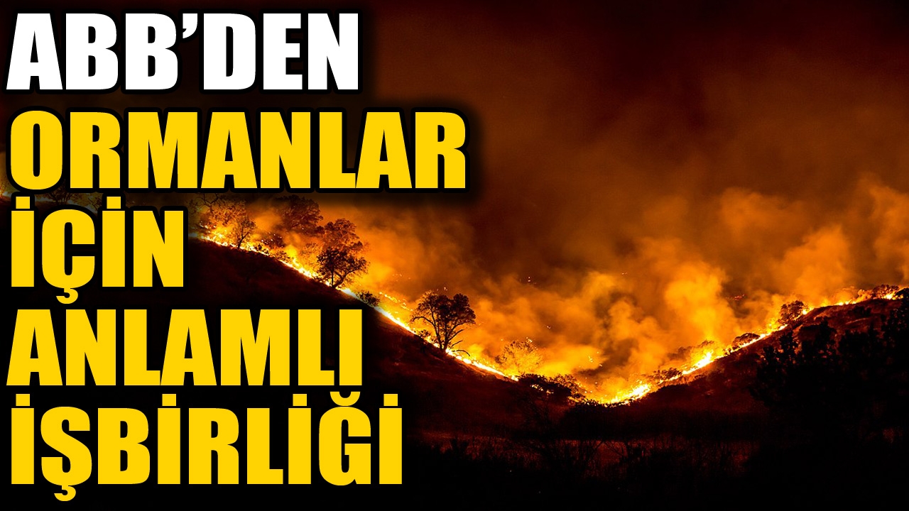 ABB'den ormanlar için anlamlı işbirliği 