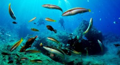 Antalya'da dalış turizmi için geri sayım başladı
