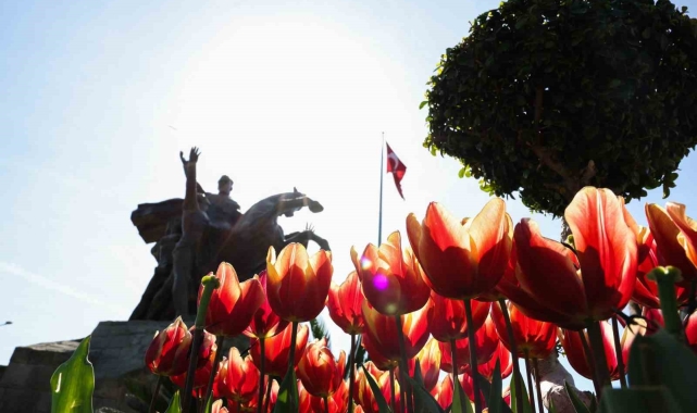 Antalya'ya bahar geldi, rengârenk laleler caddeleri süsledi 
