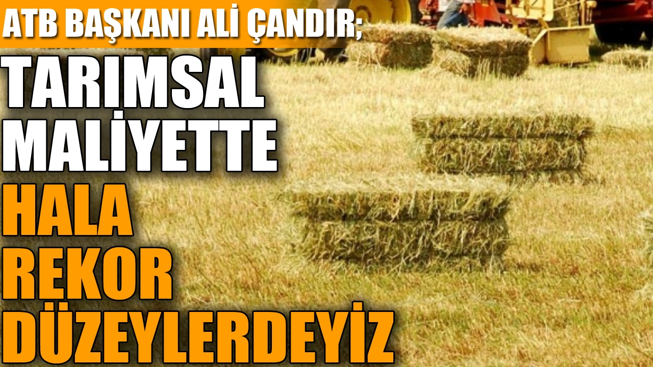 ATB Başkanı Çandır; 'tarımsal maliyette hala rekor düzeylerdeyiz' 