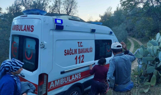 Badem ağacından düşen adamın acı sonu 