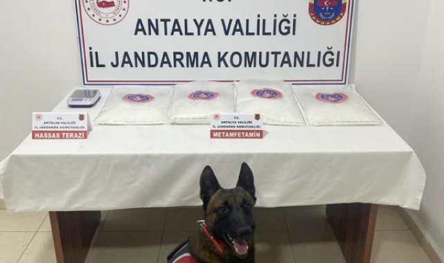 Jandarmadan uyuşturucu operasyonu