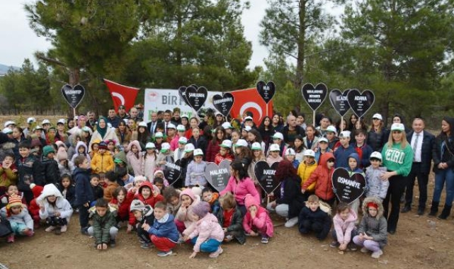 Korkuteli'de fidan dikimi