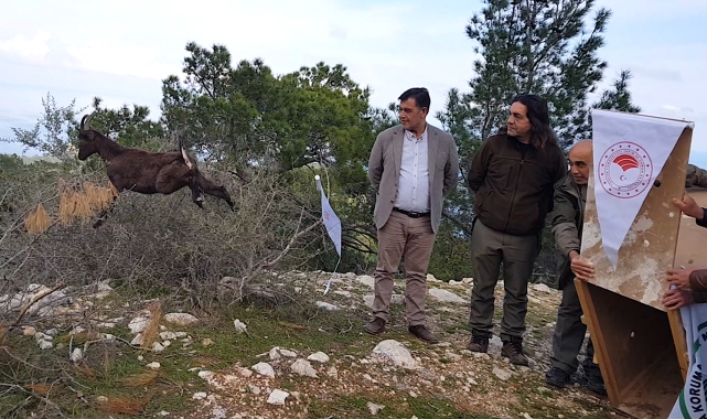 Özgürlüğe ilk adım