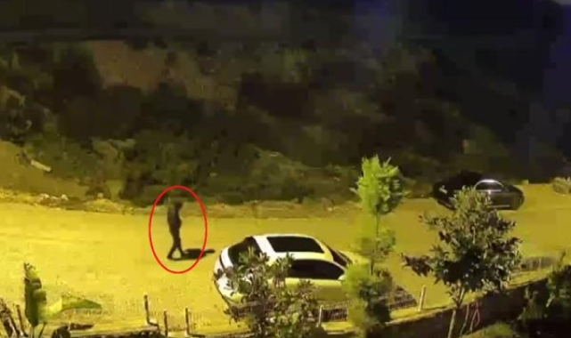 Rus kadının otomobili, 3 ayda ikinci kez kundaklandı !
