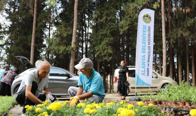Alanya Belediyesi 62 bin 500 çiçek dağıtacak