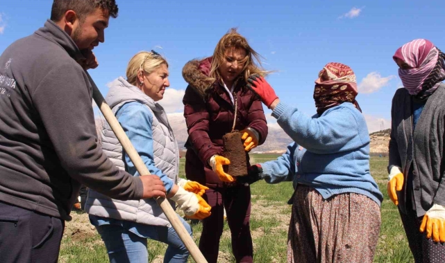 Antep fıstığı fidanları Elmalı'da toprakla buluşturuldu