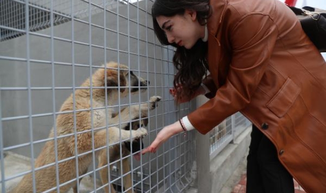 Can dostları Kirişçiler'de yeni evlerinde